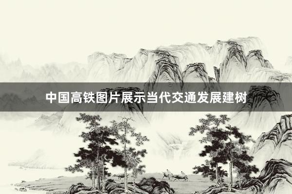 中国高铁图片展示当代交通发展建树
